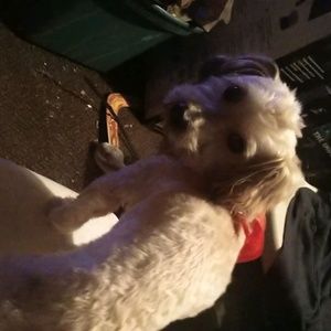 Meet your Posher, Robert